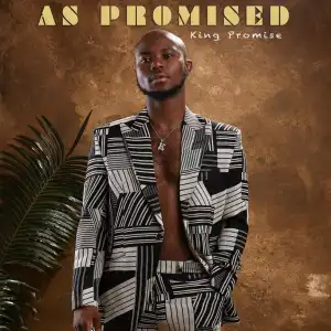 As Promised me BY King Promise